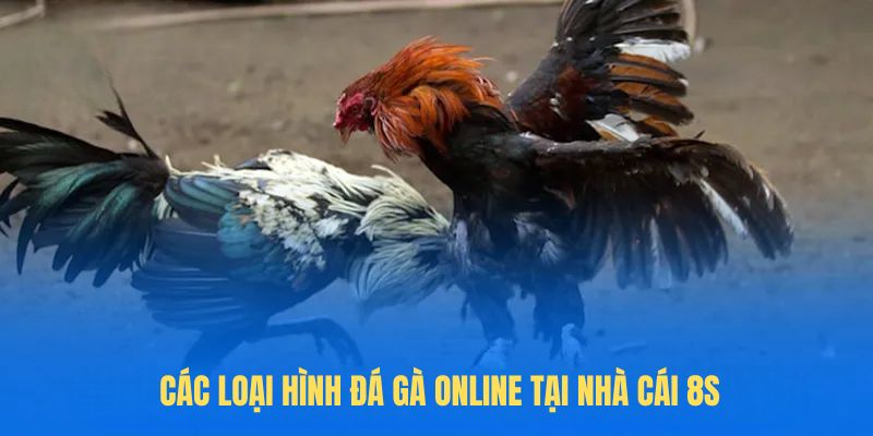 Các loại hình đá gà online tại nhà cái 8s