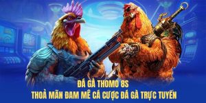 Đá gà Thomo 8S - Thoả mãn đam mê cá cược đá gà trực tuyến