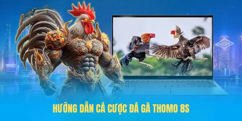 Hướng dẫn cá cược Đá gà Thomo 8S