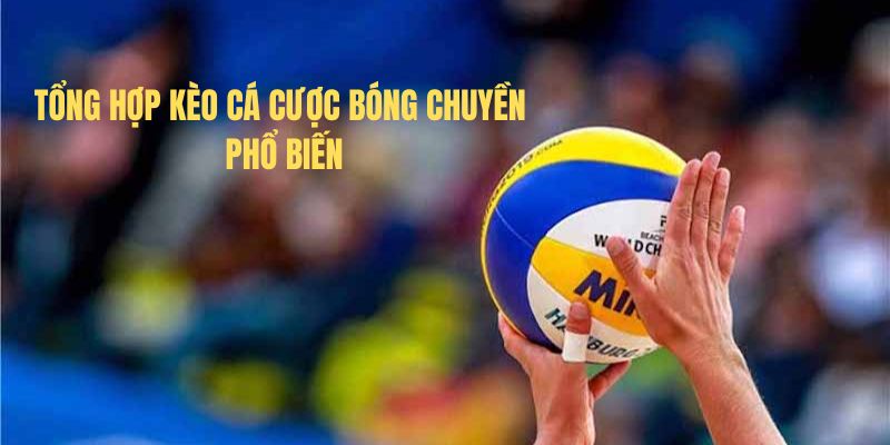 Tổng hợp kèo Cá cược bóng chuyền phổ biến