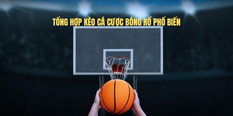 Tổng hợp kèo cá cược bóng rổ phổ biến