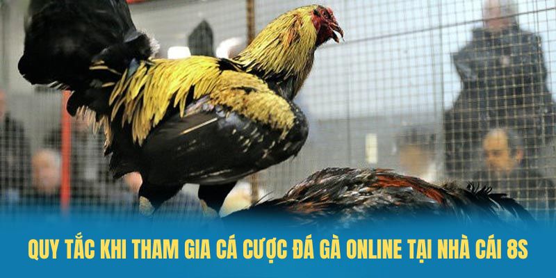 Quy tắc khi tham gia cá cược đá gà online tại nhà cái 8s