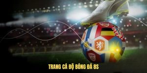 Trang cá độ bóng đá 8S