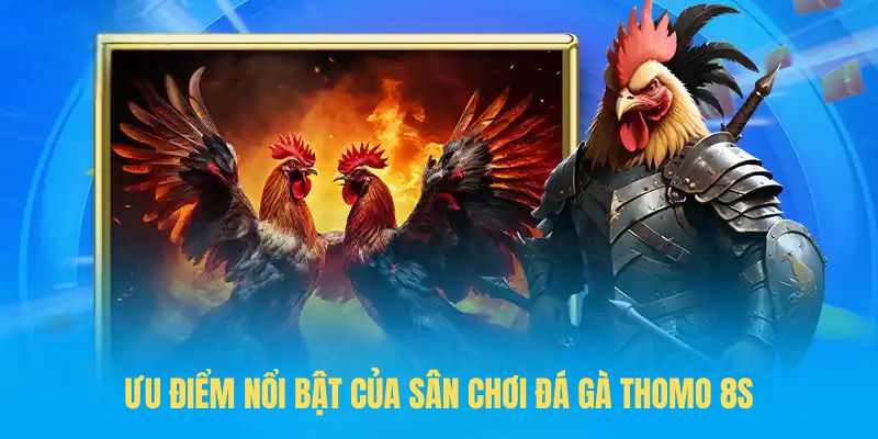 Ưu điểm nổi bật của sân chơi Đá gà Thomo 8S